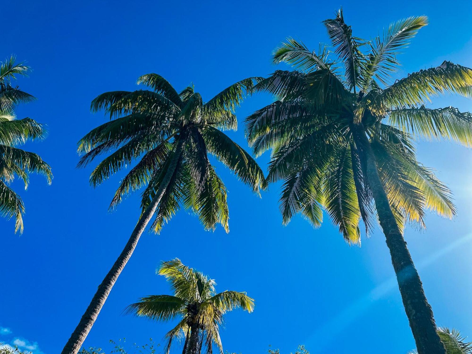 Villa Mitirapa Tohautu Bagian luar foto